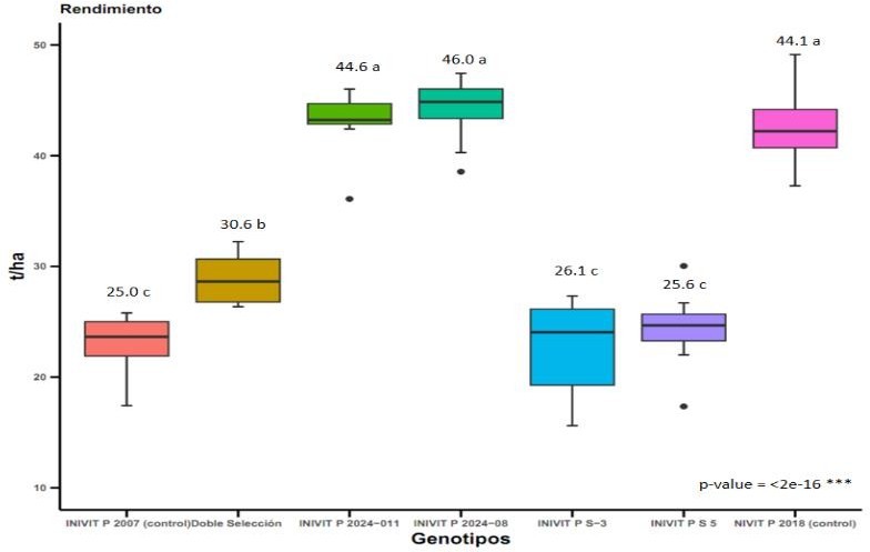 Rendimiento (t ha⁻¹) de los genotipos de pepino evaluados.